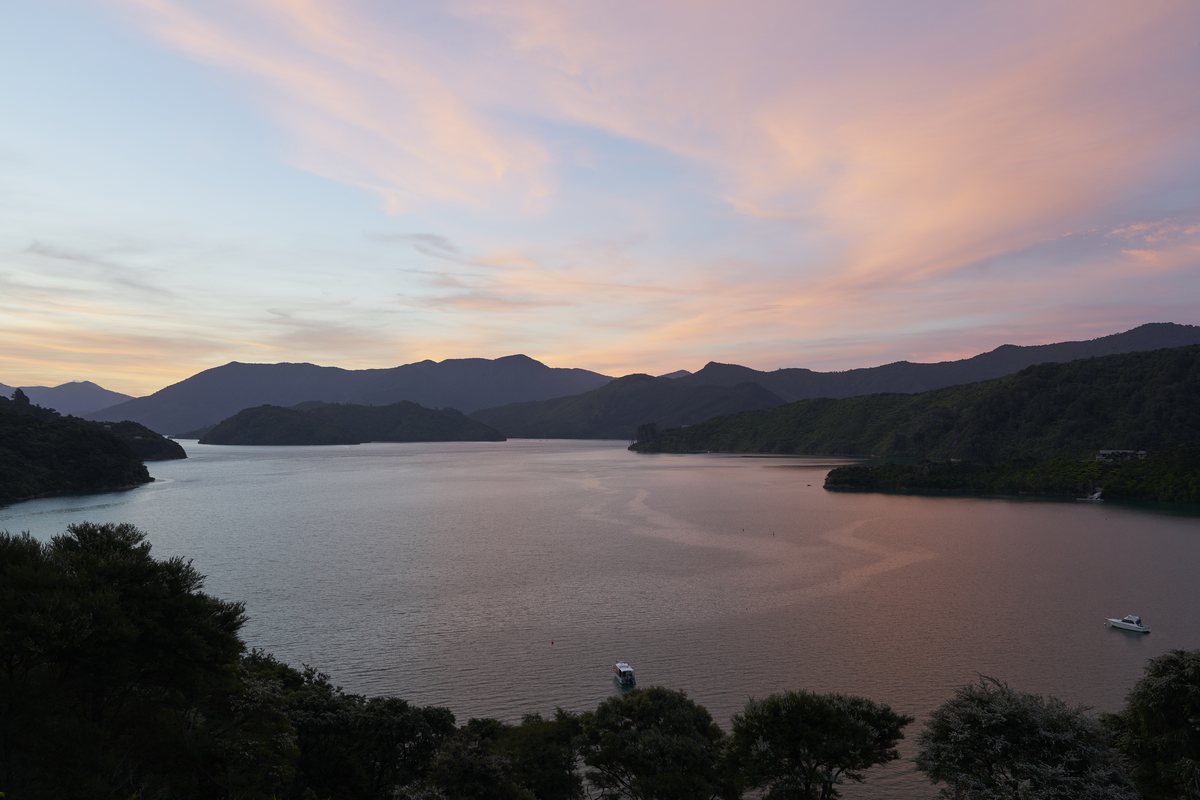 Dusk over Portage Bay, a secluded bay in the Marlborough Sounds