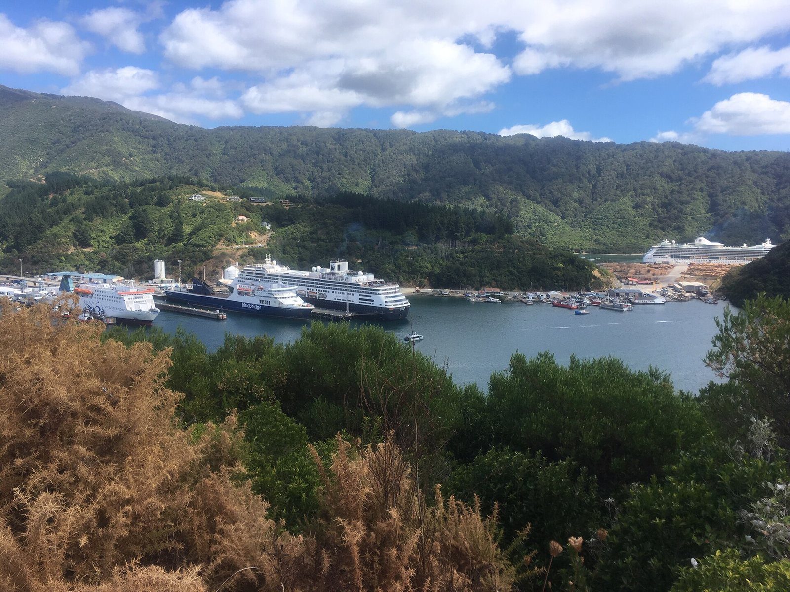 Two cruise ships and two ferries berthed at Picton