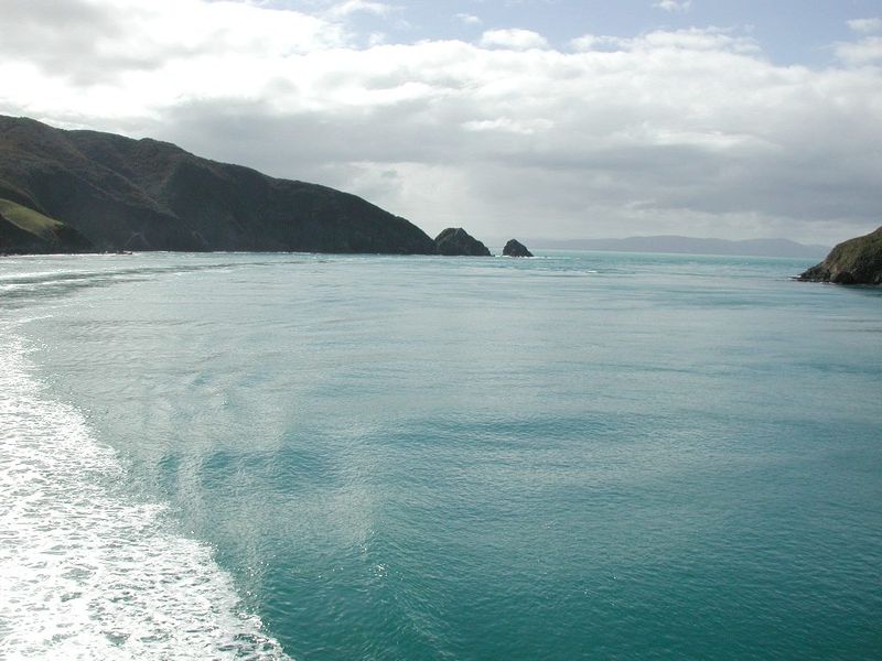 The churned wake of a ferry entering the narrow Tory Channel