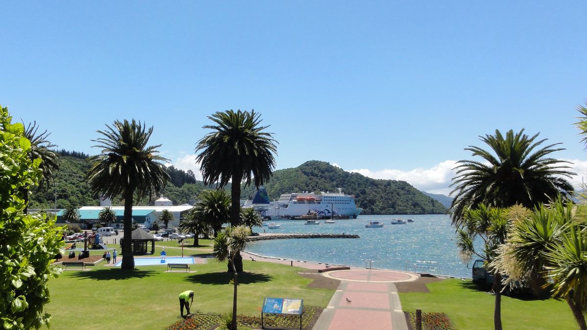 Palm trees and a path across the foreshore lawn with a ferry in the distance