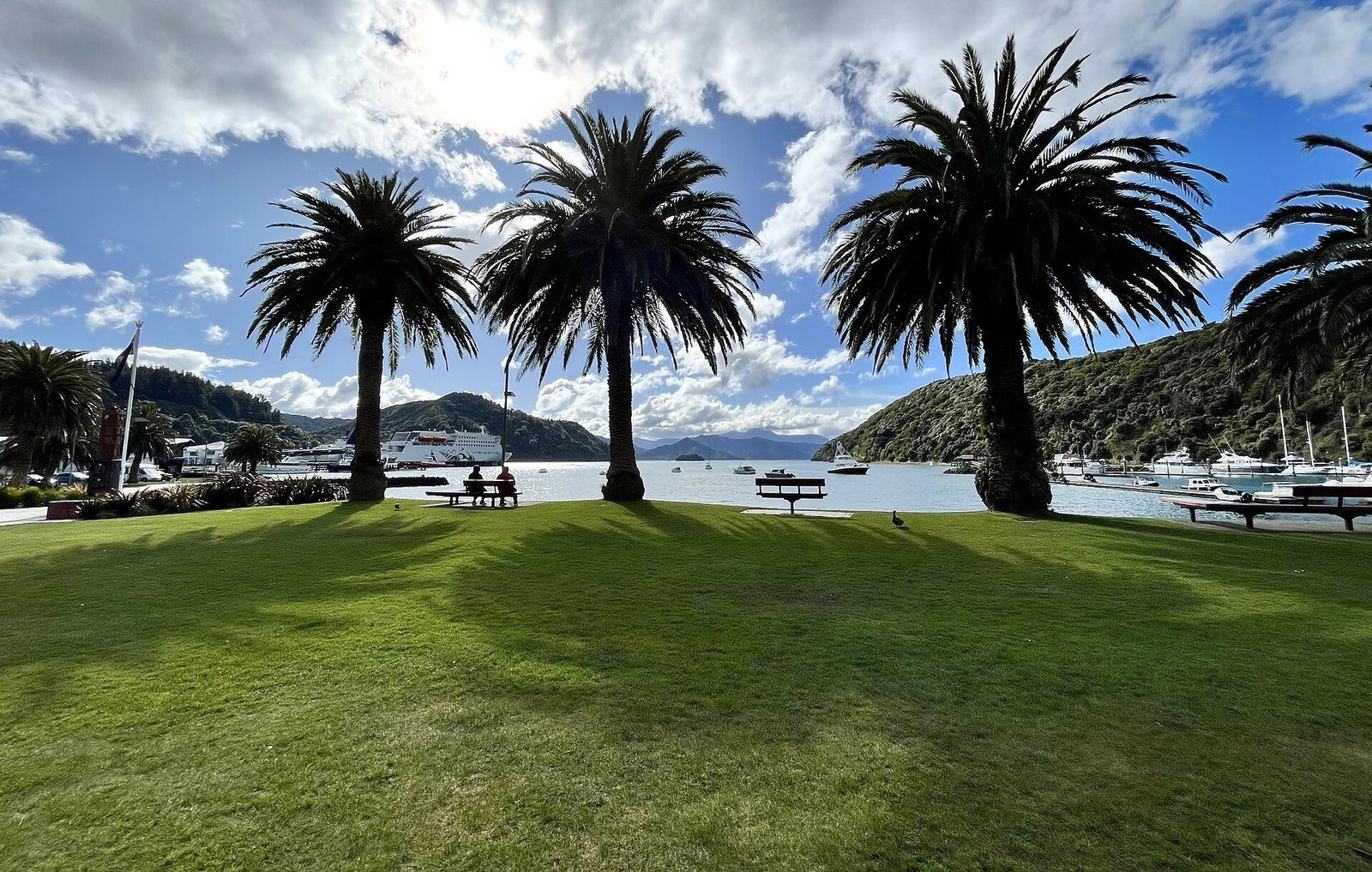 Picton's grassy foreshore reserve beside the harbour