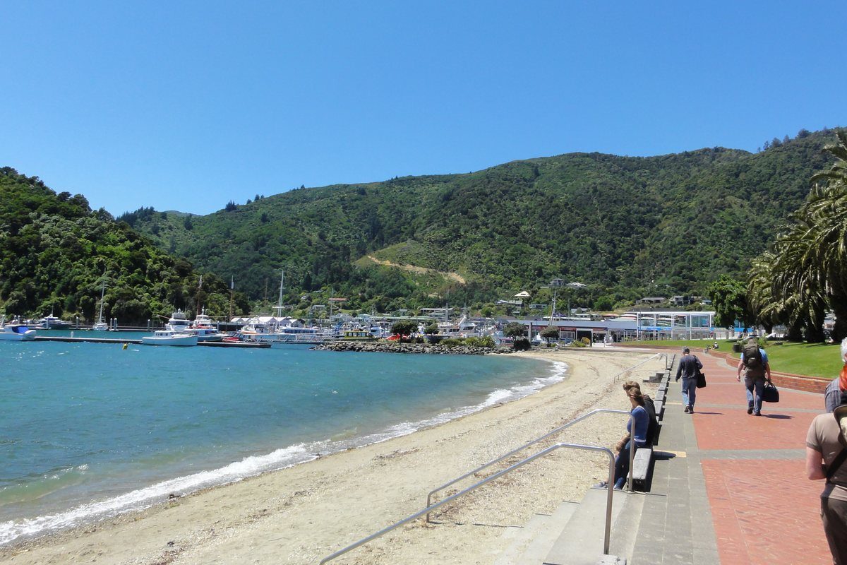 Picton's waterfront foreshore reserve with the marina and moored yachts