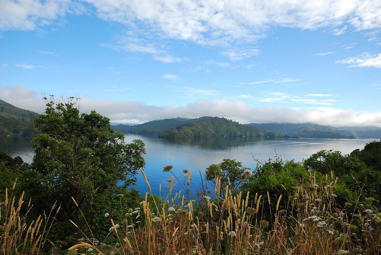 View over the Grove Arm from a bend on Queen Charlotte Drive