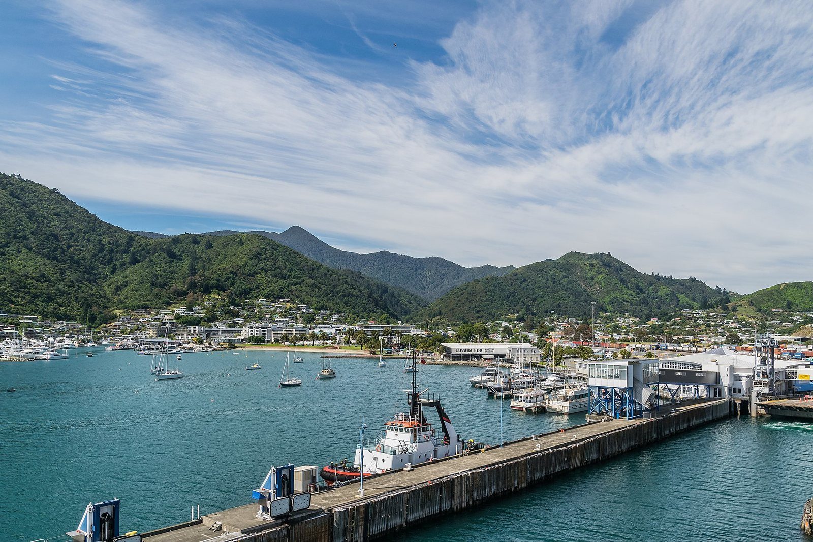Picton township and harbour viewed from an arriving ferry