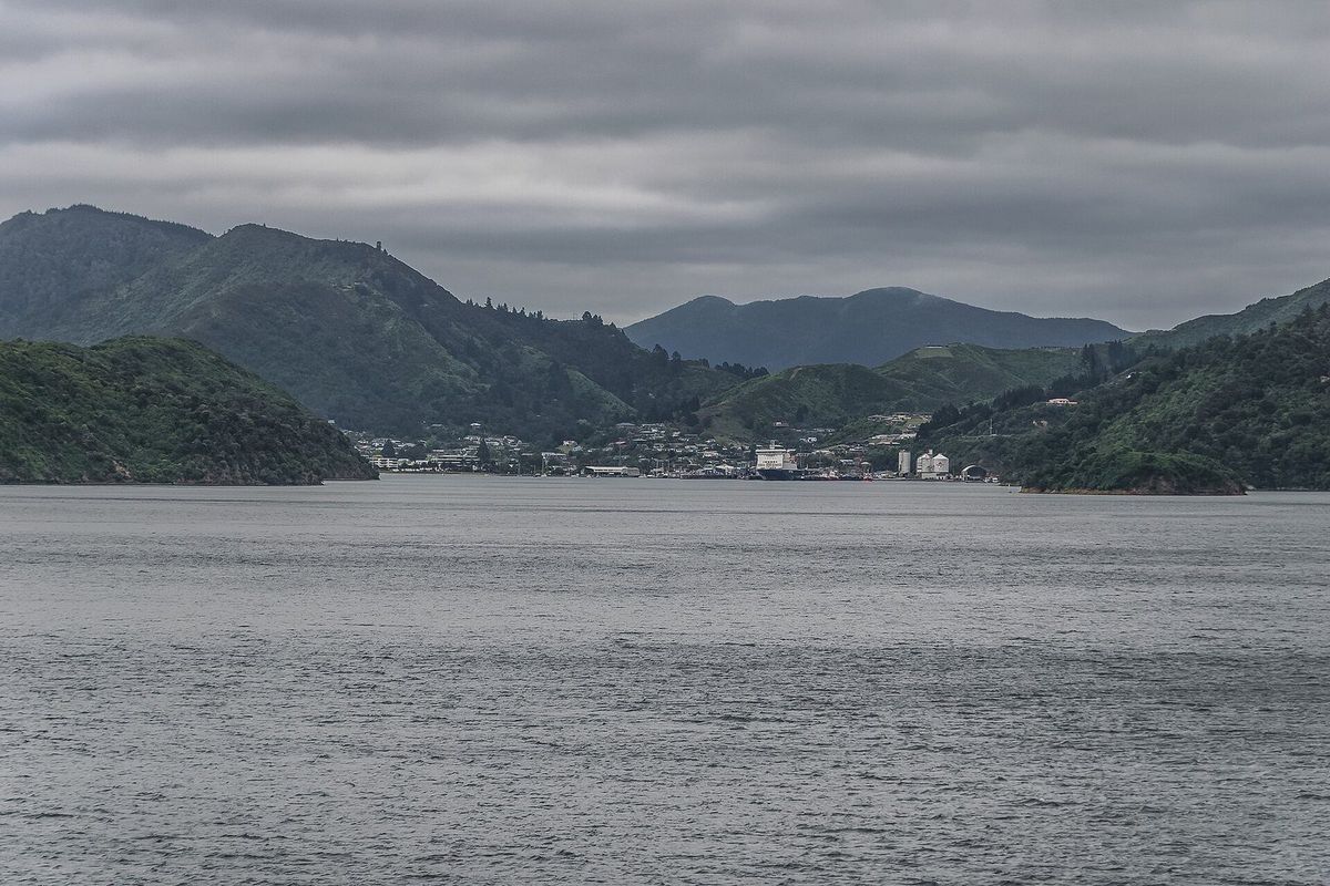 Picton harbour and marina ringed by bush-covered hills