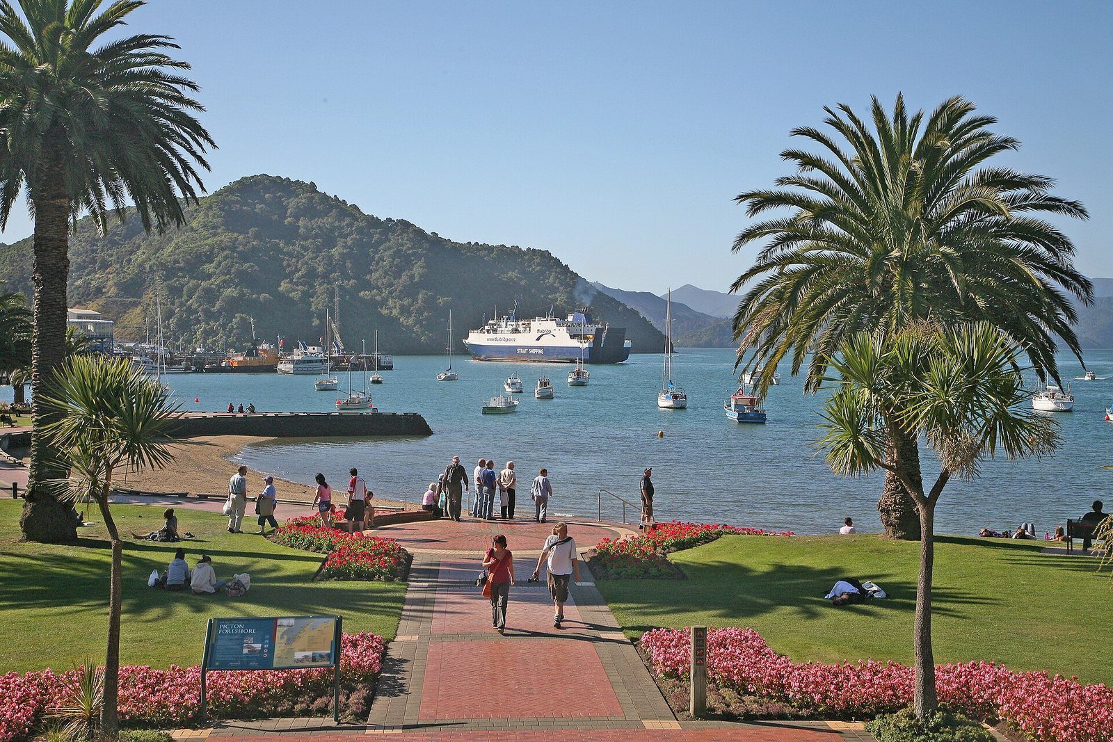 Palms and lawn on the Picton foreshore, with a ferry and moored yachts on the water beyond