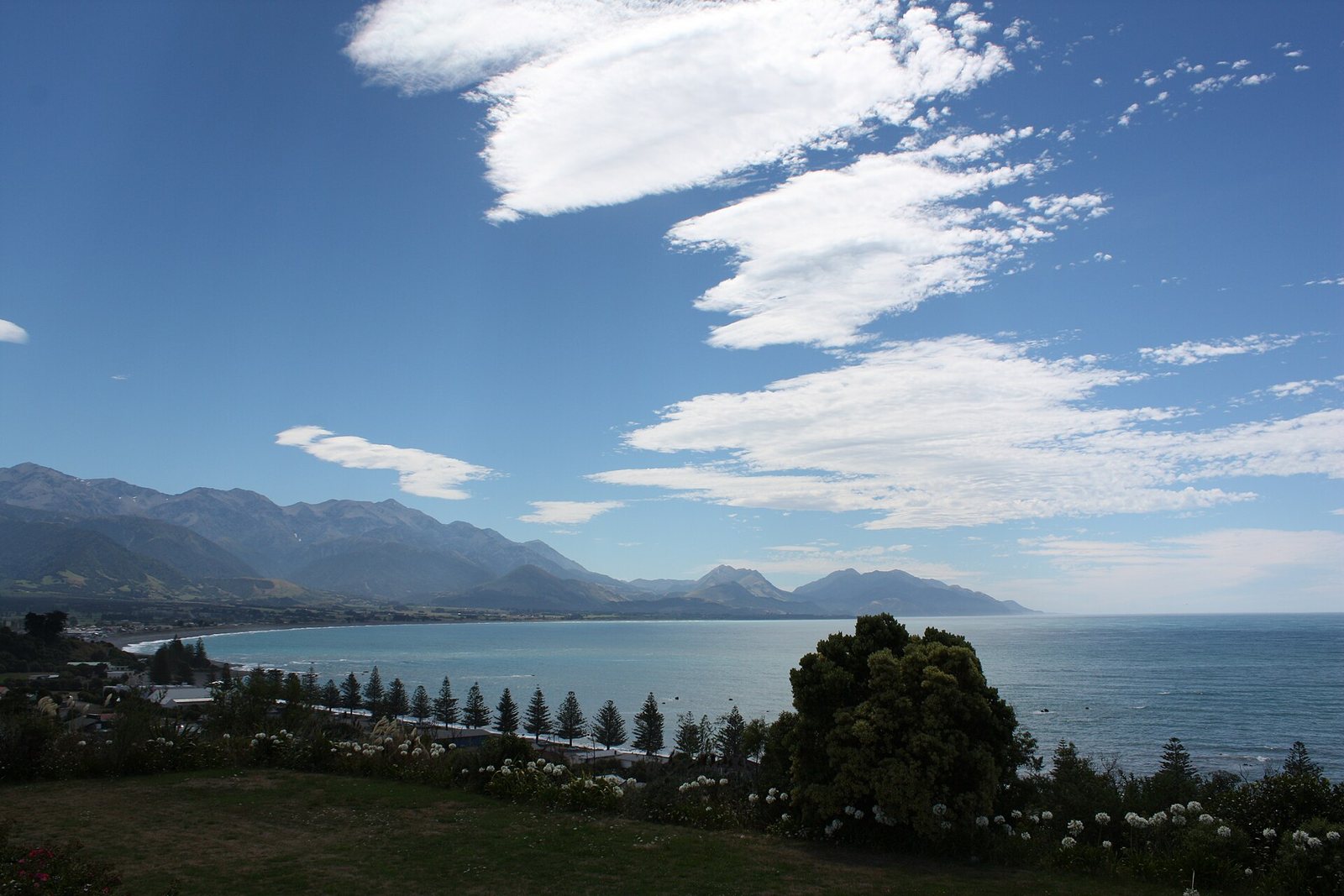 Rocky coastline with mountains behind at Kaikoura
