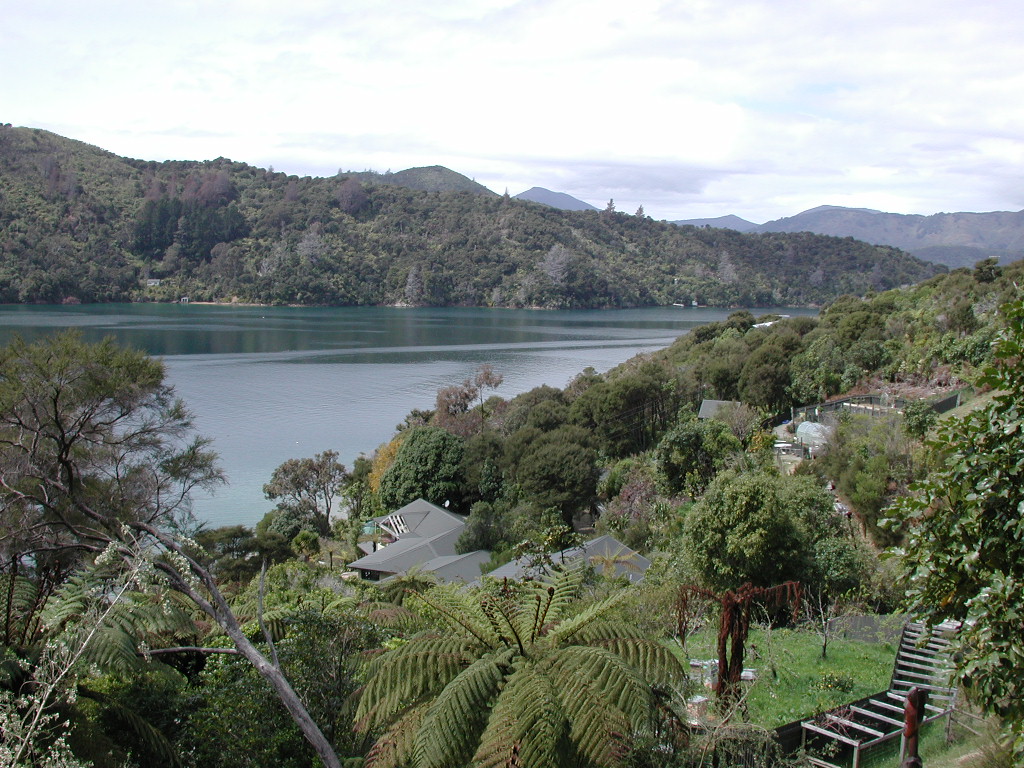View from above over a lodge and jetty in a bush-fringed bay
