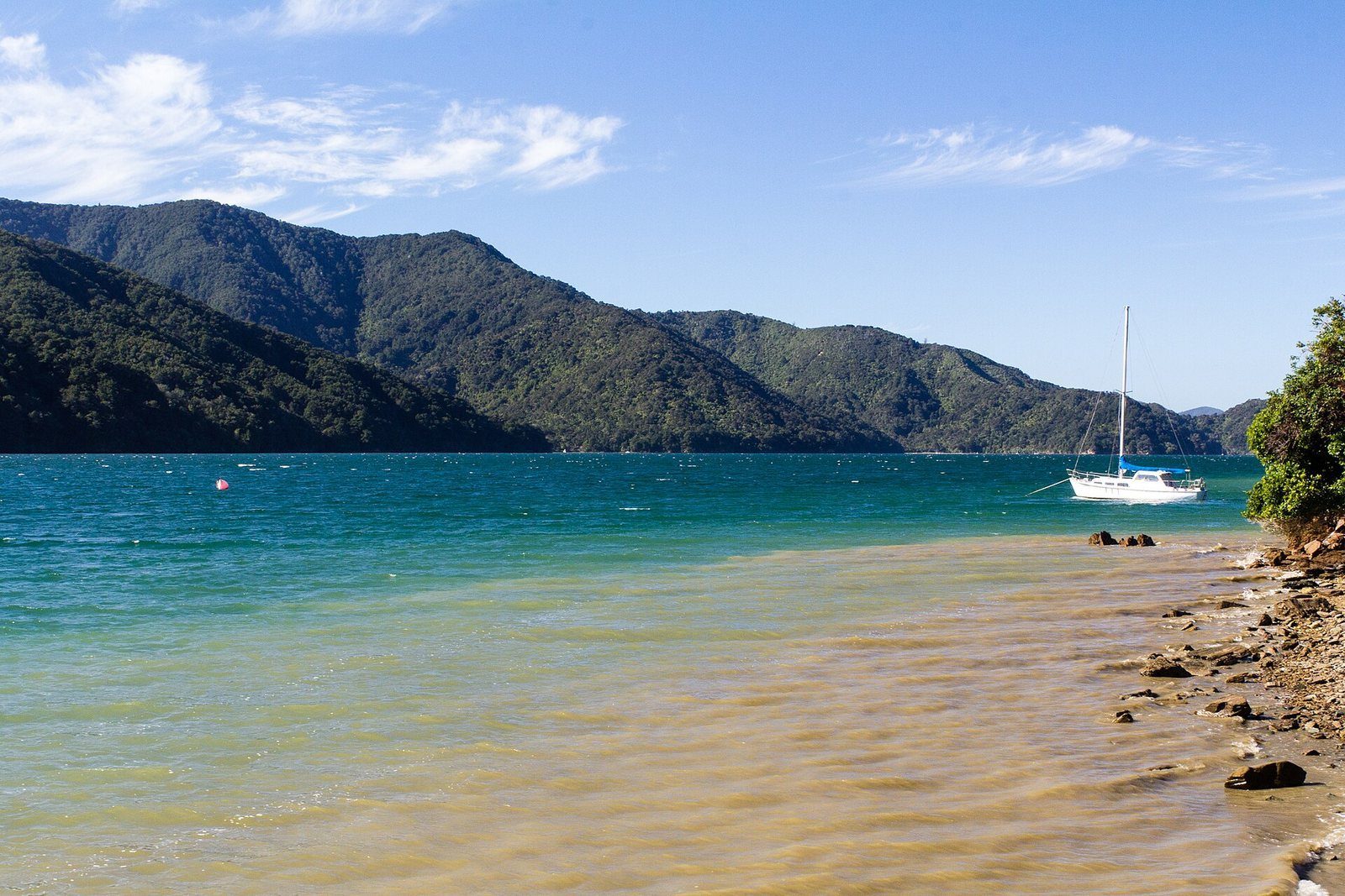 Sheltered water and green hills at Okiwa Bay in the Grove Arm