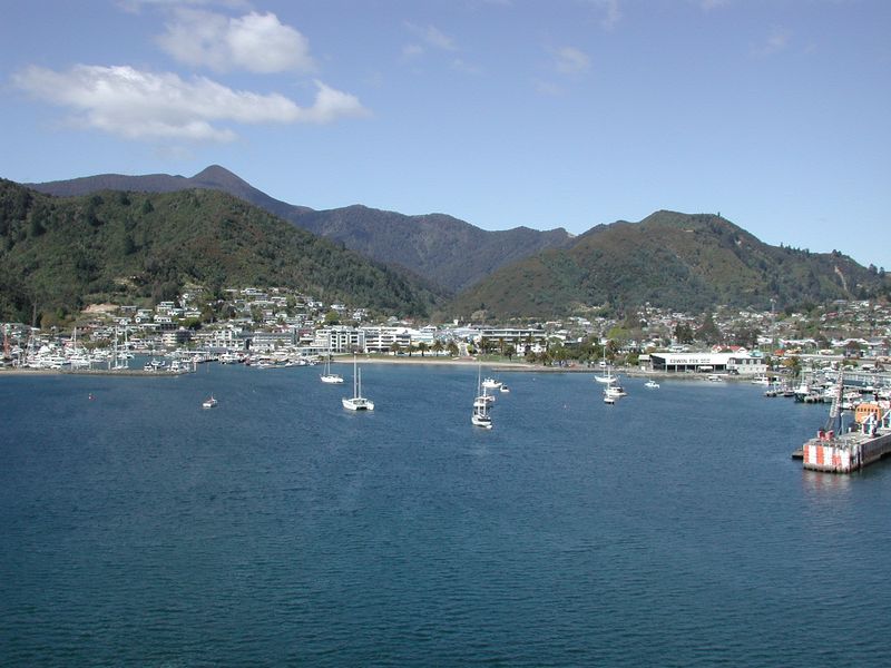 Picton seen across the harbour with boats moored in front of the town
