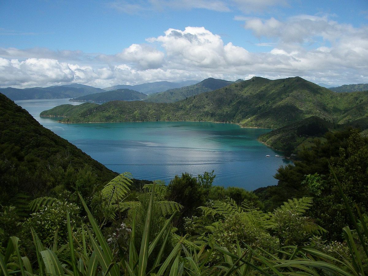 Looking down over the sound from a high point on the Queen Charlotte Track