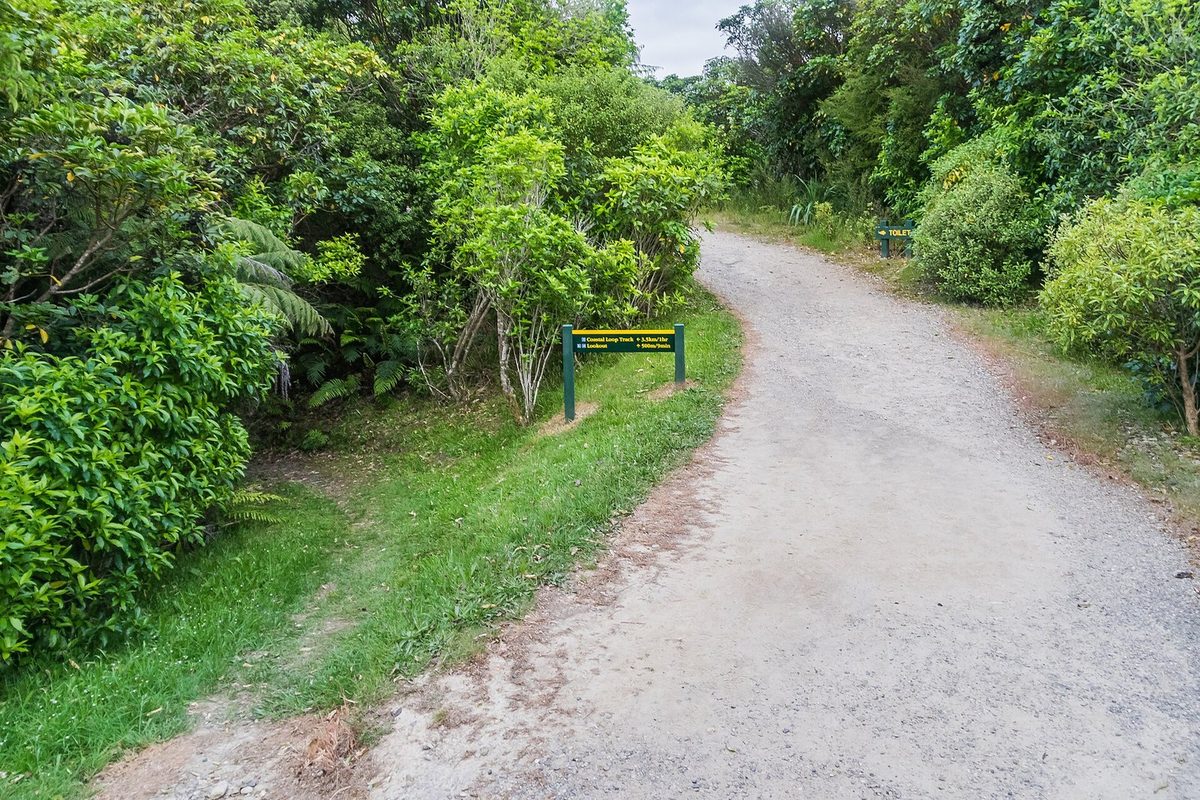 Signed junction for the Coastal Loop Track and lookout amid native vegetation in Cullen Point Scenic Reserve.