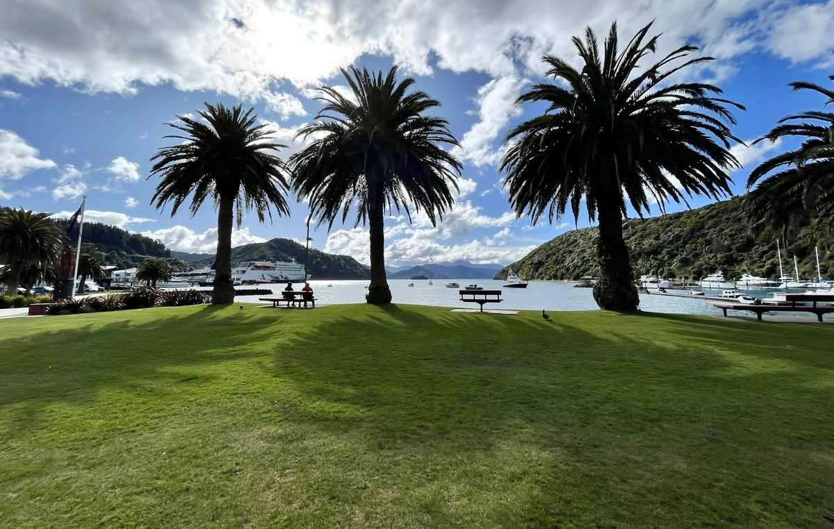 Picton foreshore lawn facing the harbour and marina, the departure area for the short walk to Shelly Beach.