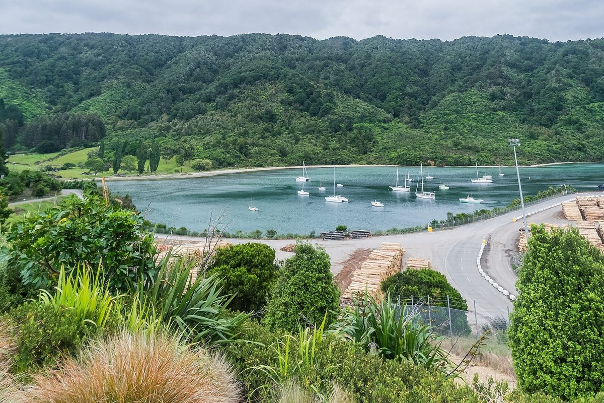 The wooded western side of Kaipūpū Sanctuary across Shakespeare Bay, with moored yachts and port logs in front.
