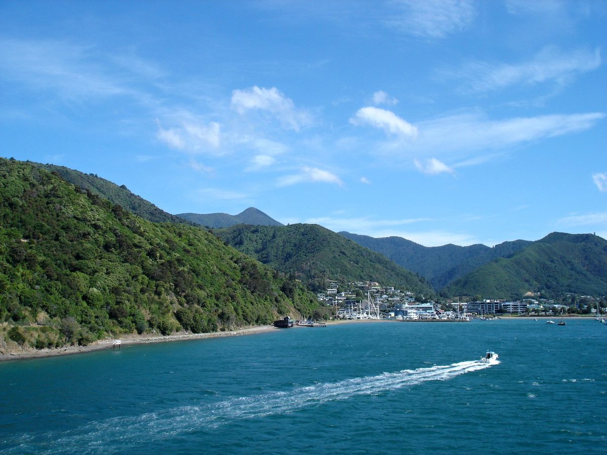Geotagged harbour view toward Picton showing the wooded cliff-edge route corridor and Shelly Beach end.