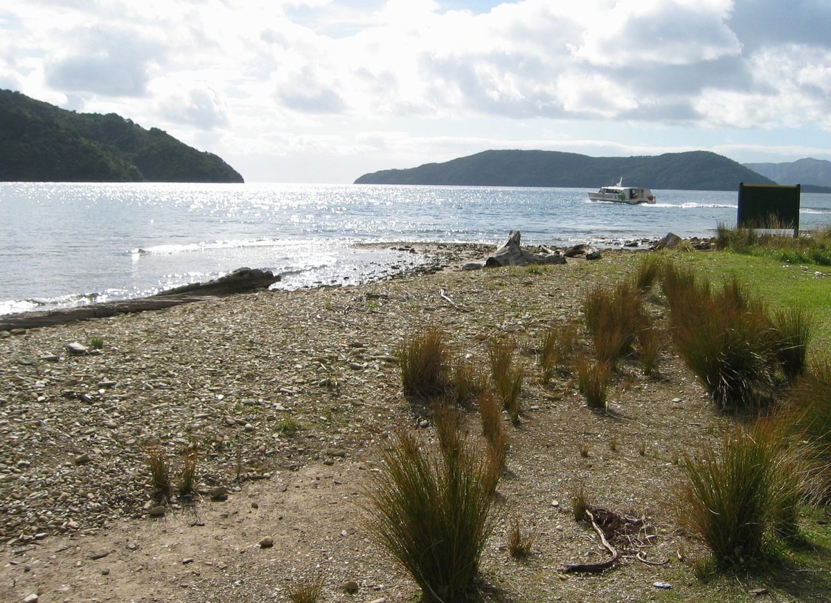 The beach and water at Meretoto / Ship Cove, with a passenger boat crossing the cove.