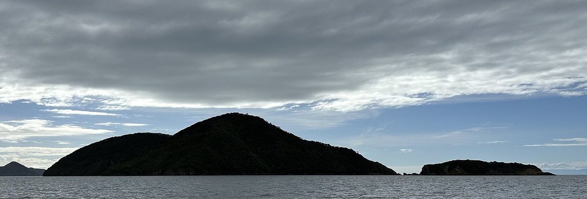 Motuara Island and adjacent Hippah Island viewed from the water to the south.