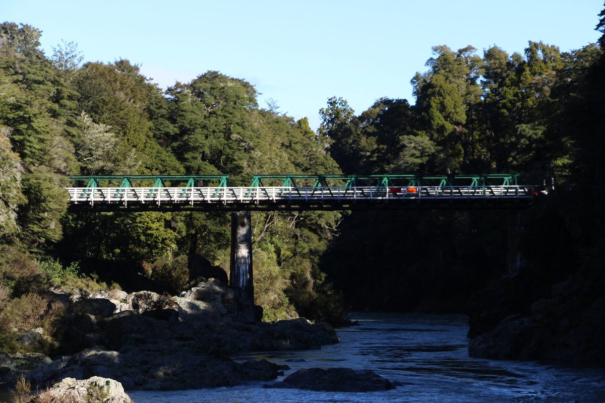 The SH6 Pelorus Bridge spanning the forest-lined Pelorus River gorge within the scenic reserve.