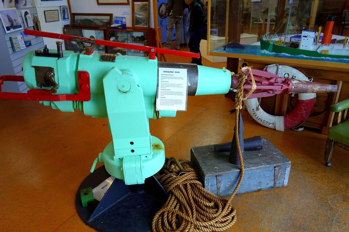 A harpoon cannon, projectile, rope and other whaling equipment displayed inside the museum.