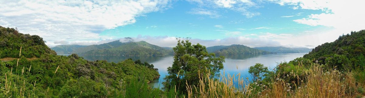 Panoramic lookout view across Grove Arm from Queen Charlotte Drive near Whenuanui Bay.