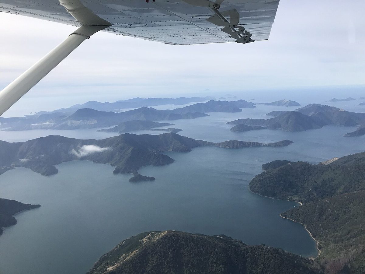Aerial view from beneath an aircraft wing across the islands and waterways of the Marlborough Sounds.