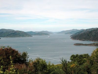View from The Snout lookout along Queen Charlotte Sound, with an Interislander ferry in the channel.