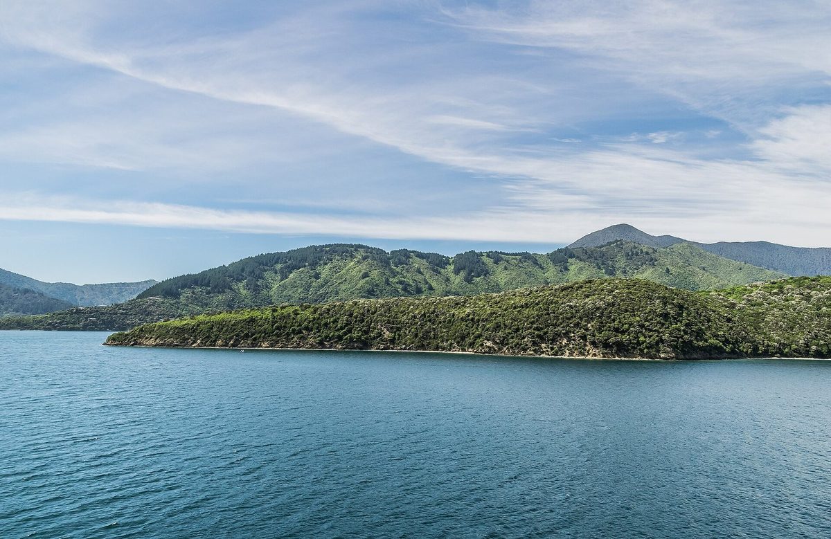 Wide view of the bush-covered Snout peninsula and shoreline within Victoria Domain.