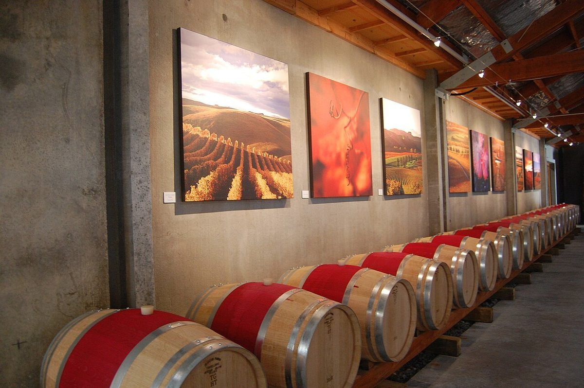 Wine barrels and vineyard photographs inside Cloudy Bay's Marlborough cellar door.