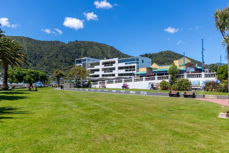 Waterfront apartment building viewed across Picton's foreshore lawn.
