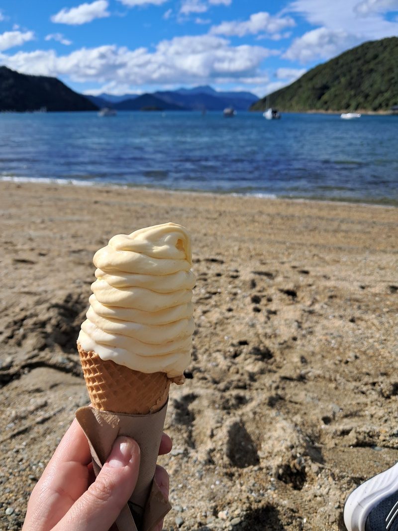 Soft-serve ice cream cone held beside a beach, with the sheltered Marlborough Sounds in the background.