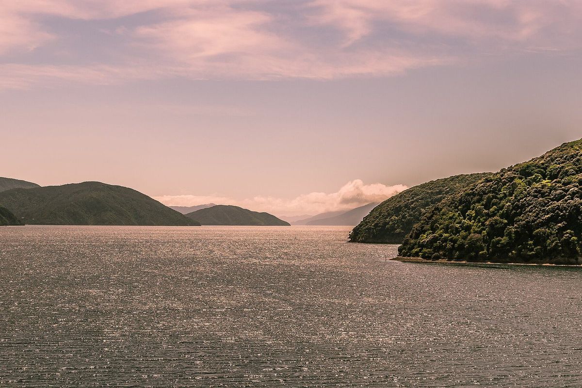 A succession of bays and forested headlands in Queen Charlotte Sound
