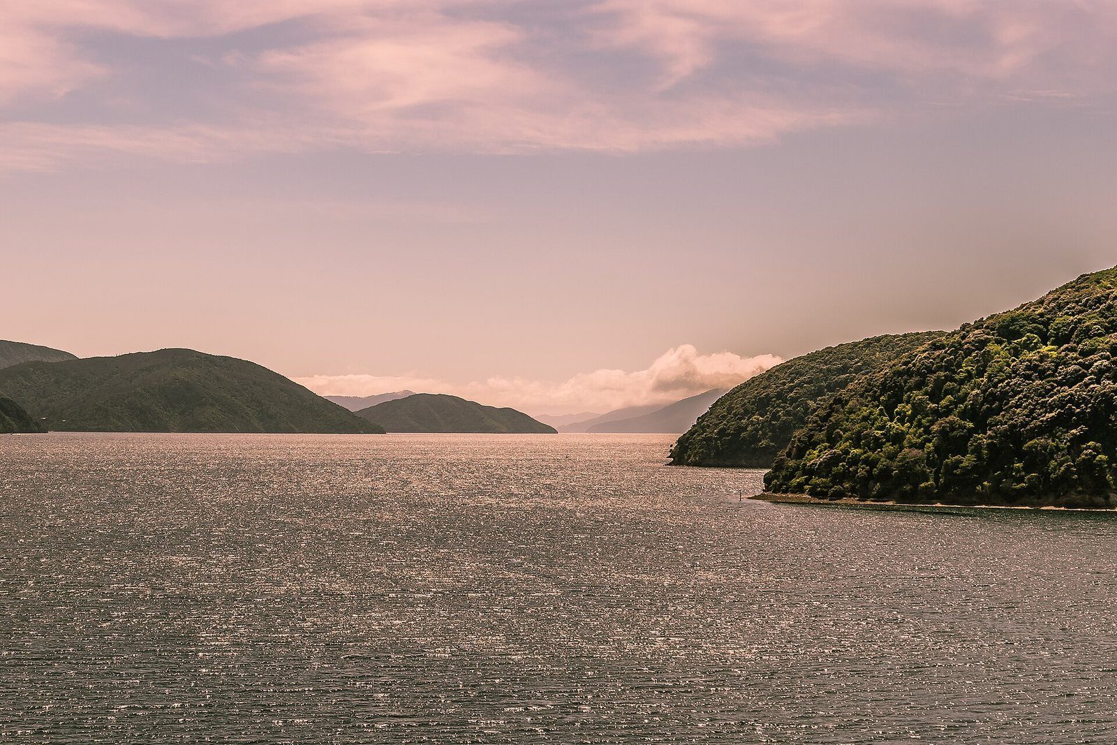 A succession of bays and forested headlands in Queen Charlotte Sound