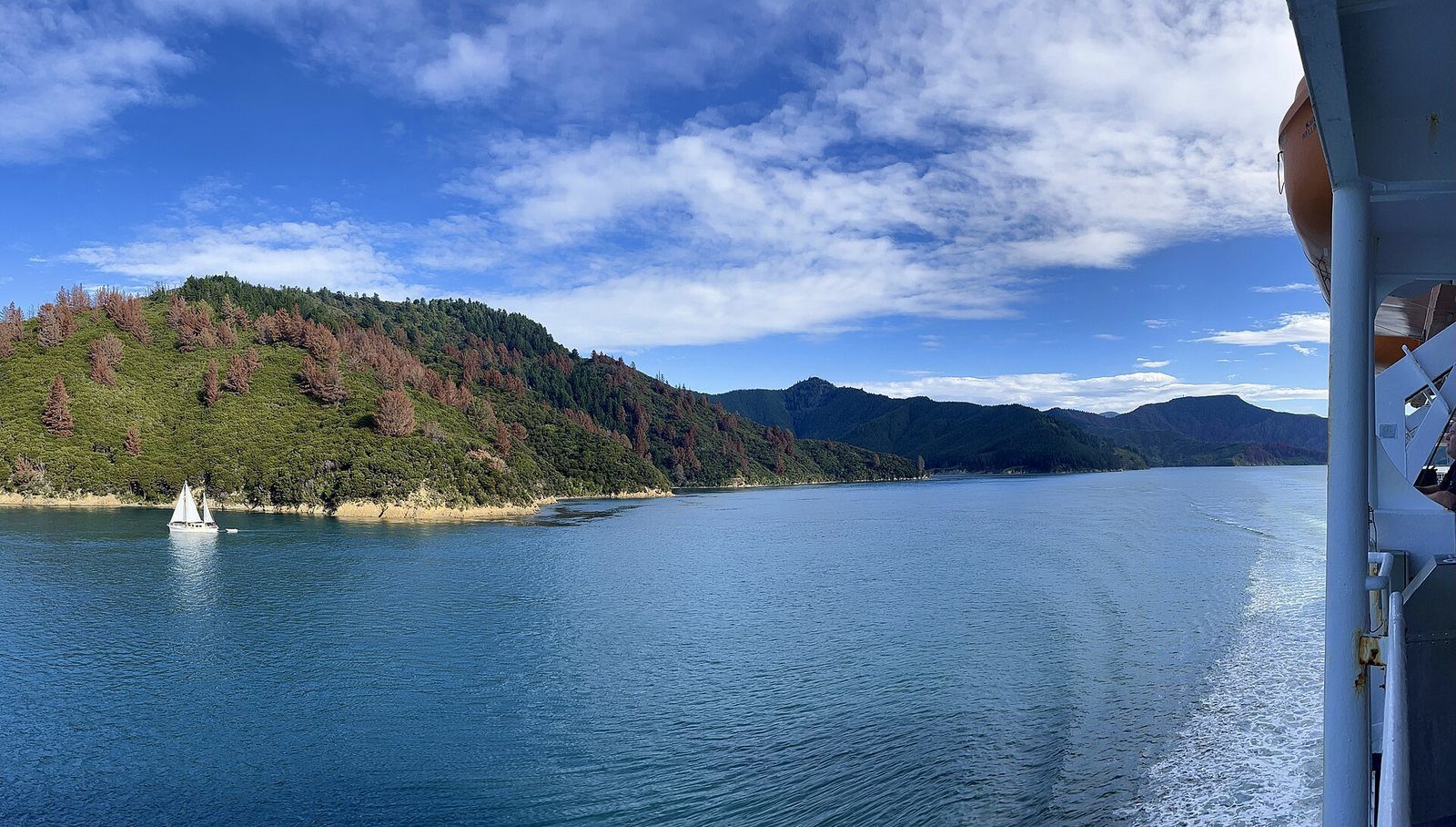 Islands and inlets of the Marlborough Sounds seen from a ferry