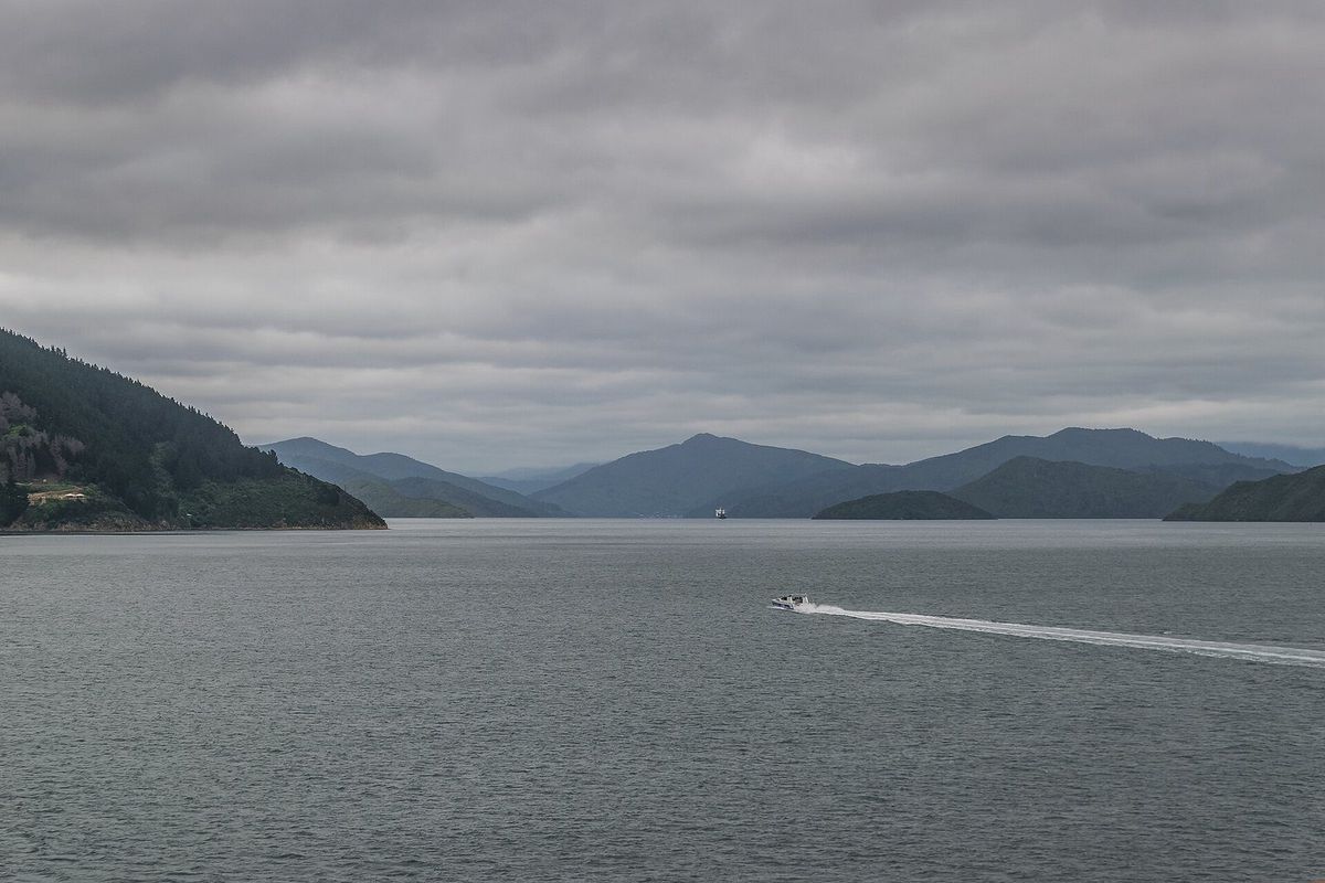 The wide water of Queen Charlotte Sound with low bush headlands on either side