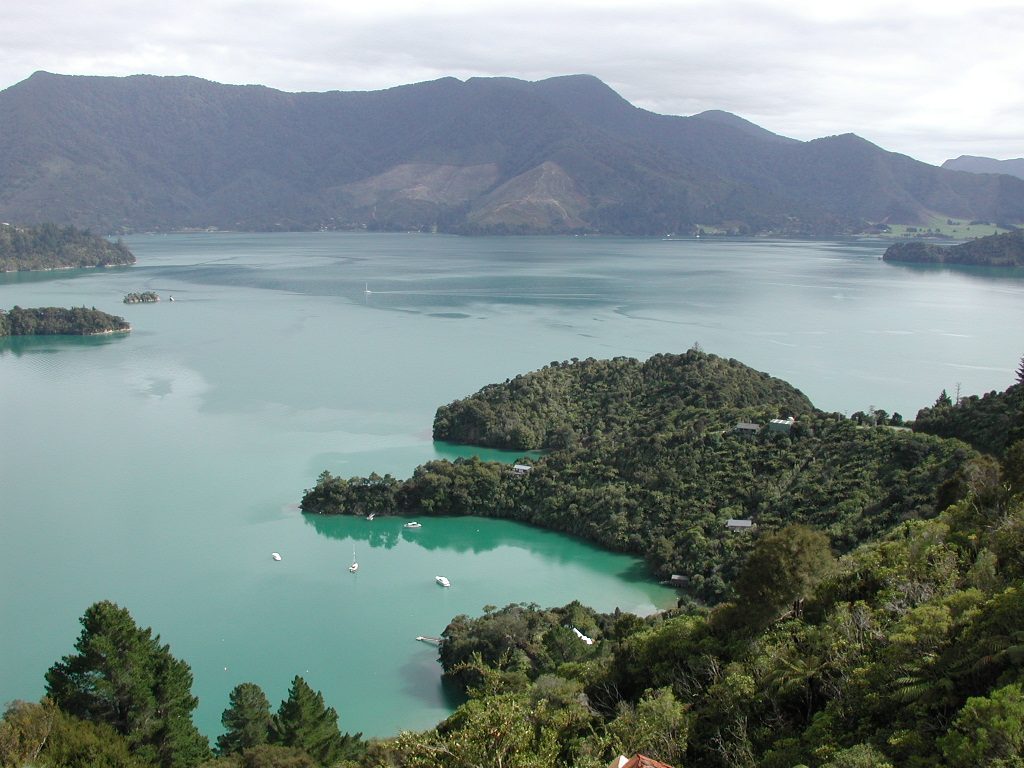 Te Mahia Bay in the foreground and Kenepuru Sound behind, from the track