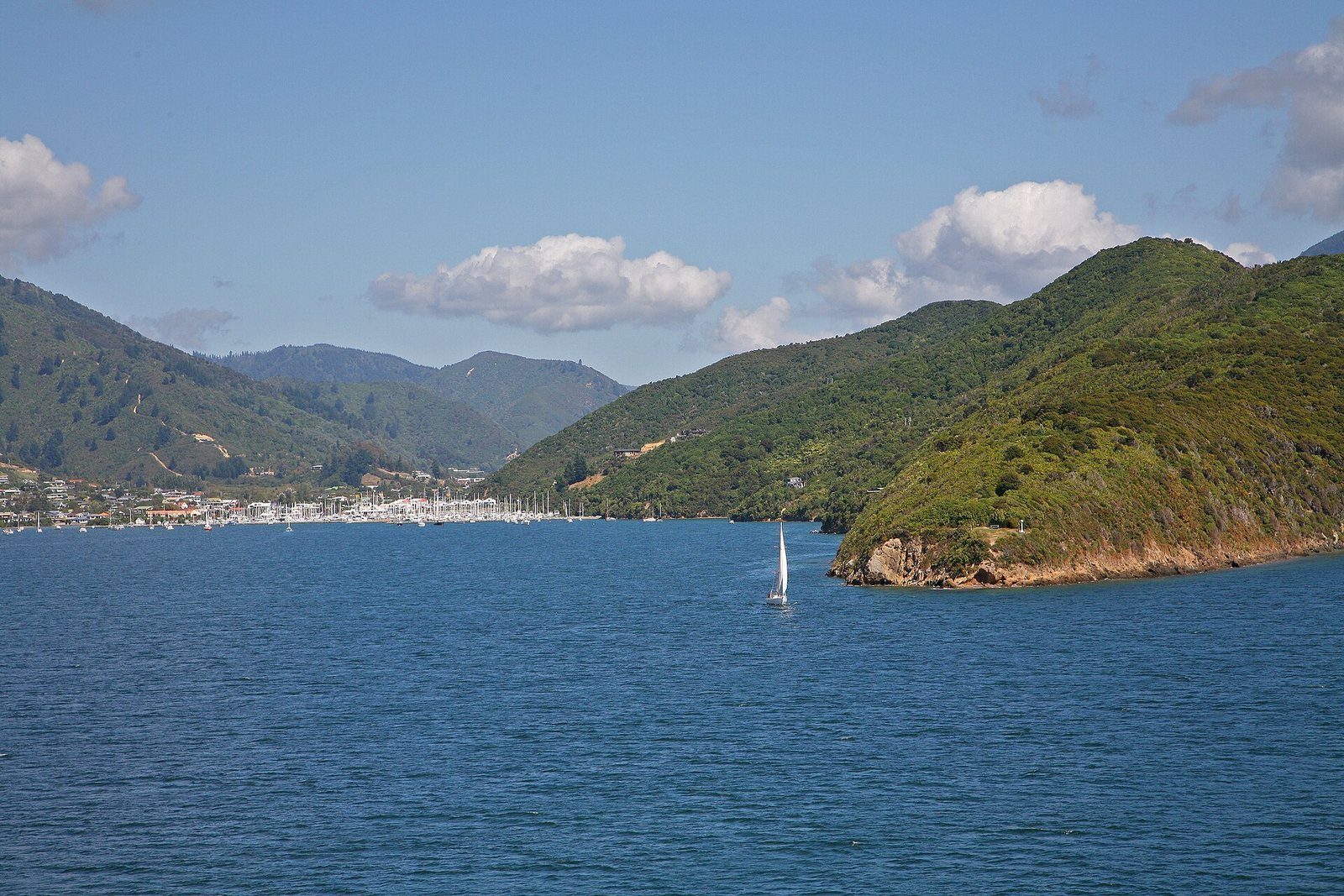 Yachts and launches moored at Waikawa Marina