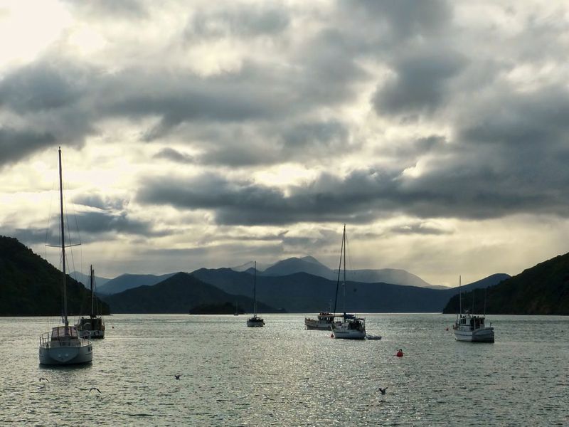 Still winter light over the water at Picton