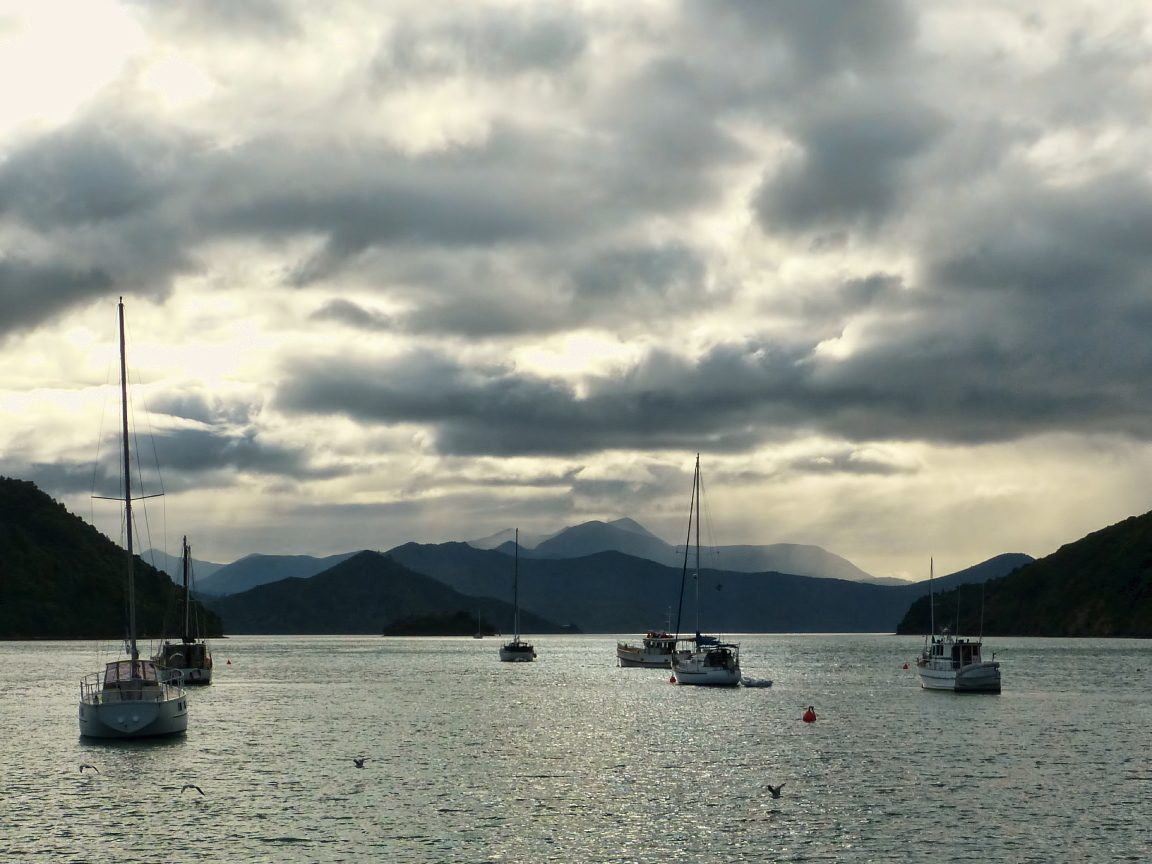 Still winter light over the water at Picton