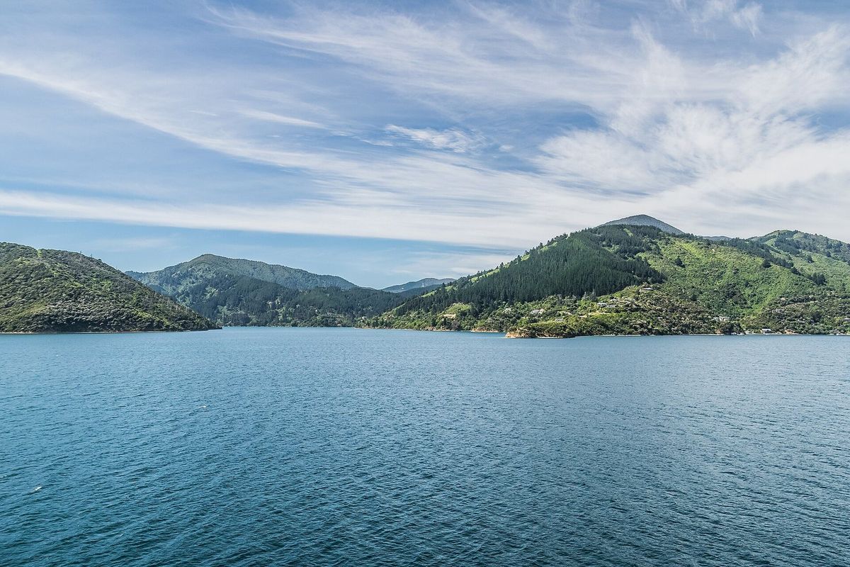Calm water and bush hills at Whatamango Bay